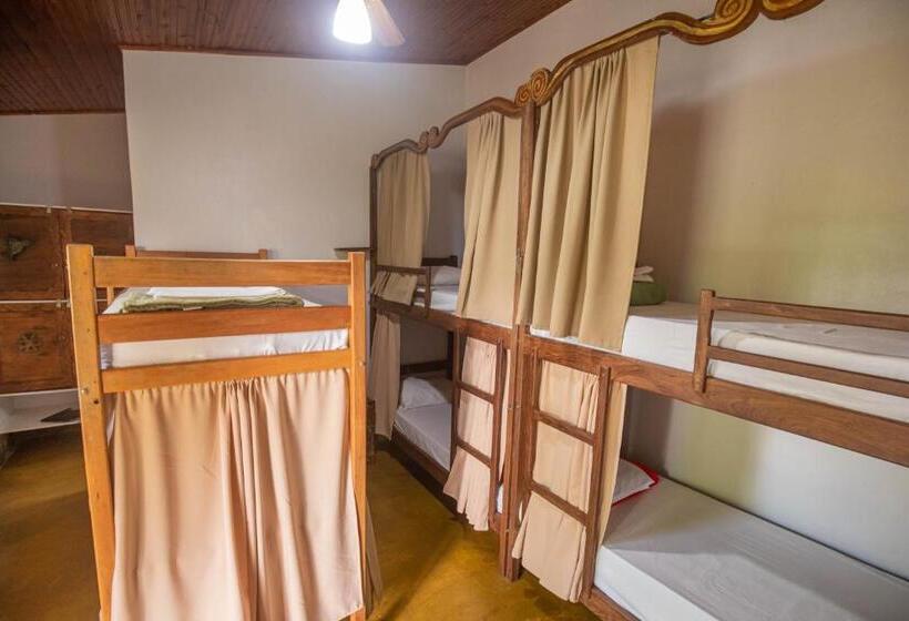 Кровать в Общей Комнате, Buddy's Hostel & Pousada Alto Paraiso