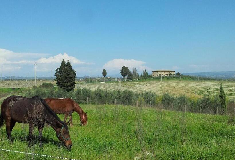 Апартаменты 3 Спальни, Agriturismo Macinatico