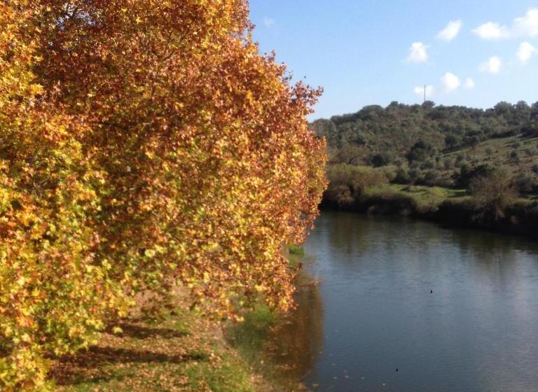 Номер Стандарт, Casa De Campo Alter Pedroso