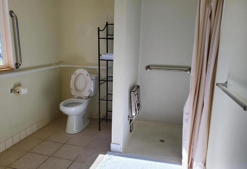장애인을 위한 킹사이즈 침대 스탠다드 룸, Stay Inn And Suites