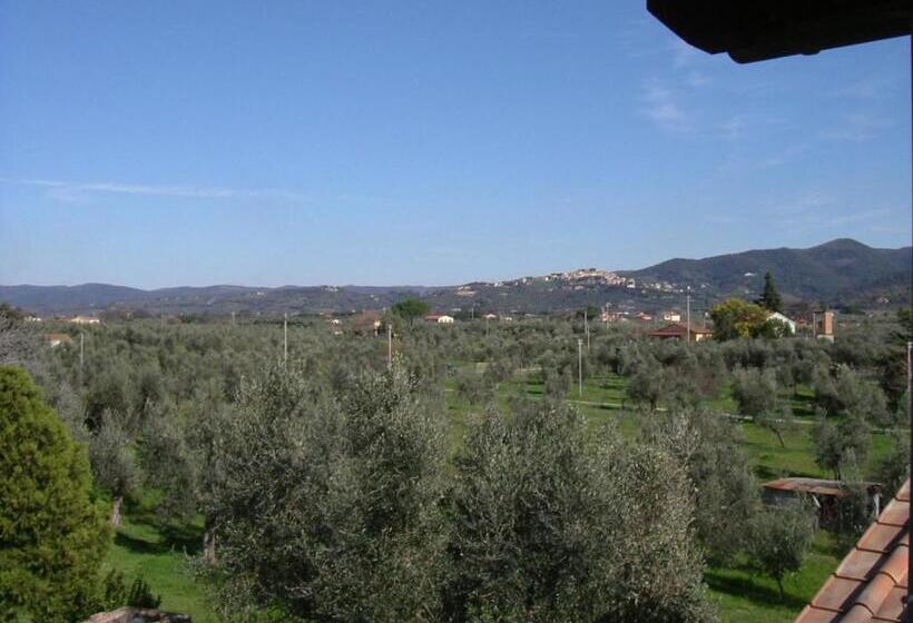 带1个卧室的带阳台的公寓, Agriturismo Greppo All Olivo