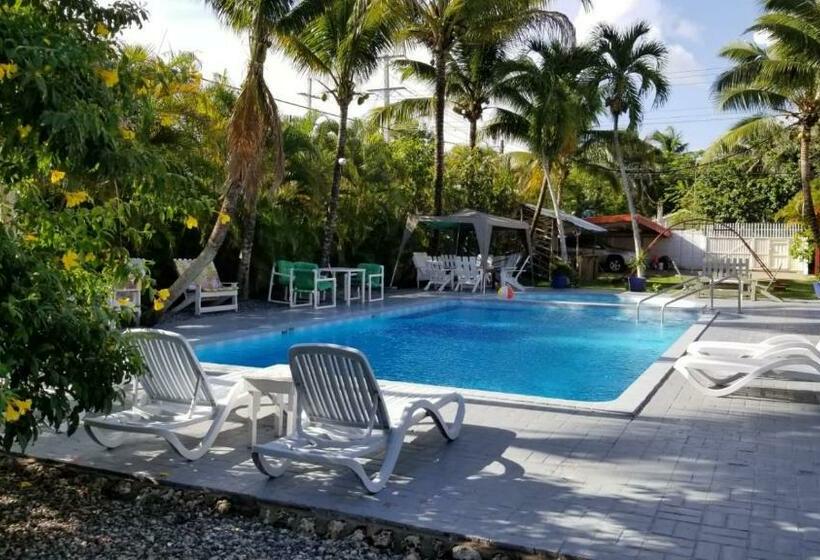 ویلای یک اتاق خوابه با استخر شنا, Boca Del Paraiso