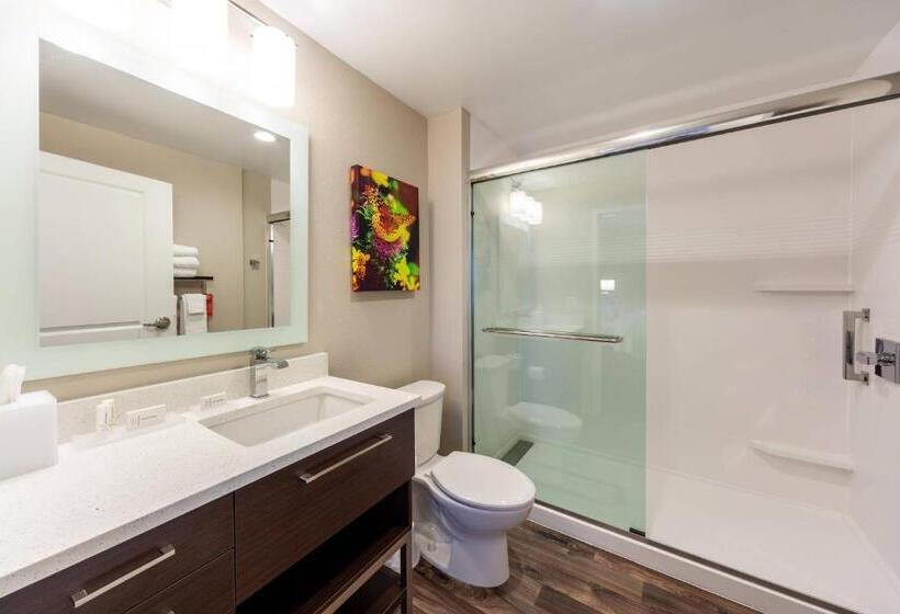 스탠다드 스튜디오 킹침대, Towneplace Suites By Marriott Front Royal