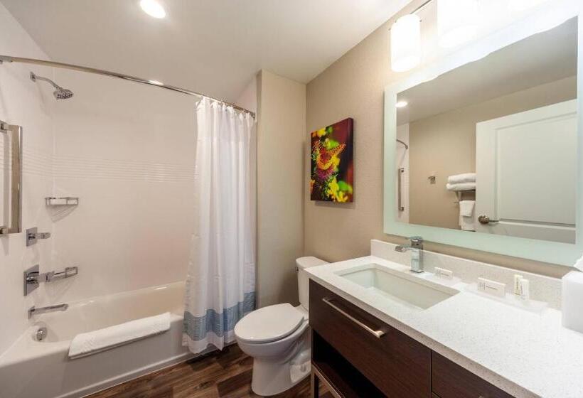 스탠다드 스튜디오, Towneplace Suites By Marriott Front Royal