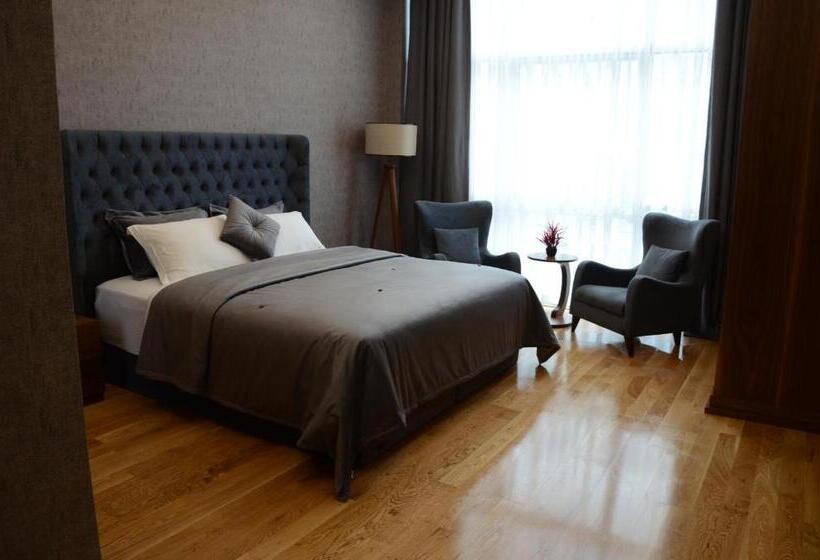 اتاق استاندارد با تخت بزرگ, Teknosports Otel