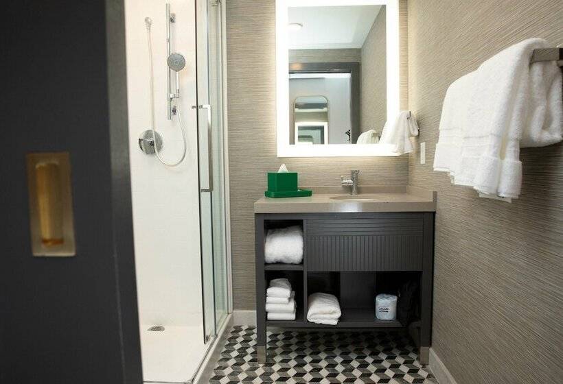 סוויטה, Indigo   St. Louis   Downtown, An Ihg