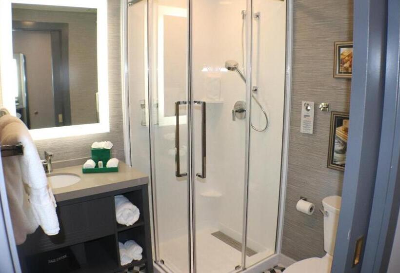 חדר סטנדרט, Indigo   St. Louis   Downtown, An Ihg