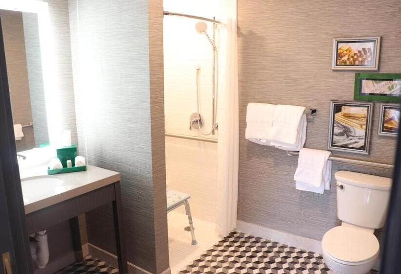 Номер Стандарт Адаптированный для Инвалидов, Indigo   St. Louis   Downtown, An Ihg