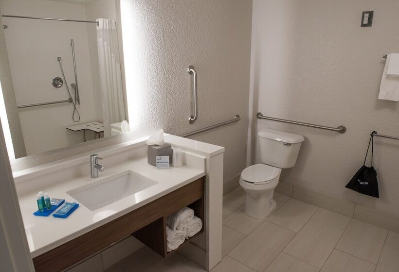 Люкс Адаптированный для Инвалидов, Holiday Inn Express & Suites   Orland Park Mokena, An Ihg