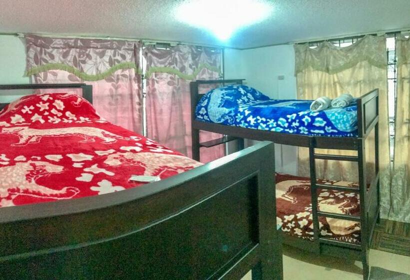 Bed in Shared Room with Shared Bathroom, Hostel Tierra De Fuego