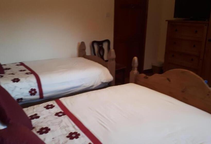 스탠다드 트리플 룸, Birchdale House B&b