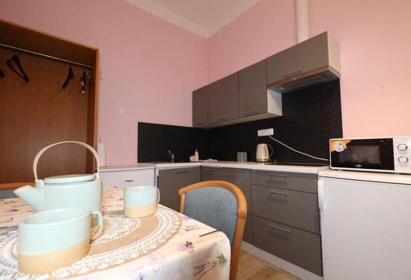 اتاق استاندارد سه نفره, Wellness Penzion Kroměříž   Zlobice