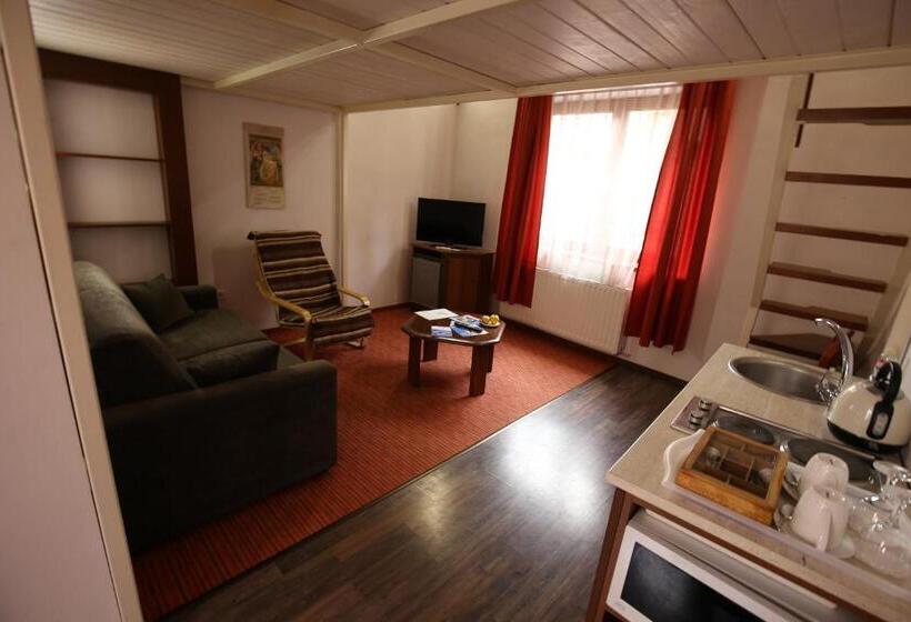 استودیوی استاندارد, Pension Ferdinand Panzio
