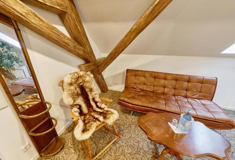 Номер Стандарт, Alte Pension Bautzen