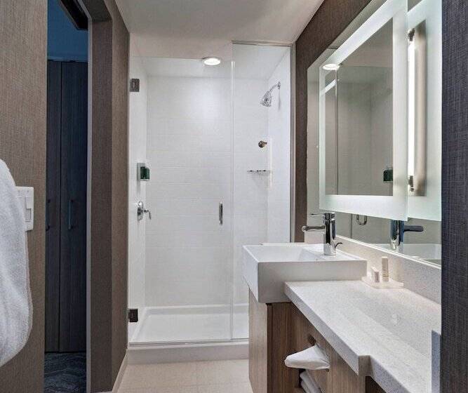 Люкс, Springhill Suites By Marriott Denver West/golden