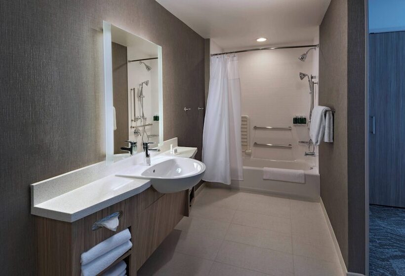 Люкс, Springhill Suites By Marriott Denver West/golden