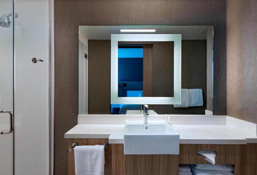 מיטת קינג בסוויטה, Springhill Suites By Marriott Denver West/golden
