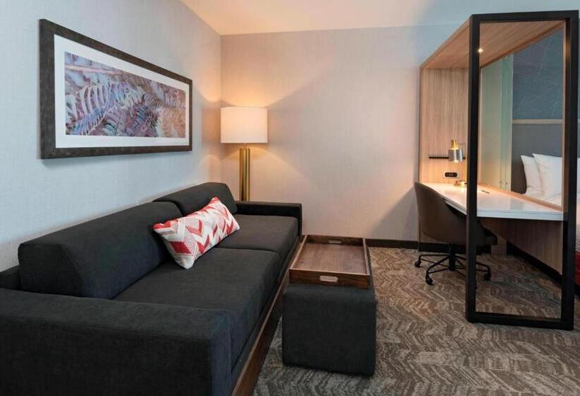 Люкс Кровать Кинг, Springhill Suites By Marriott Denver West/golden
