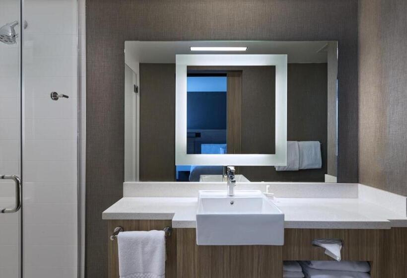 Люкс, Springhill Suites By Marriott Denver West/golden