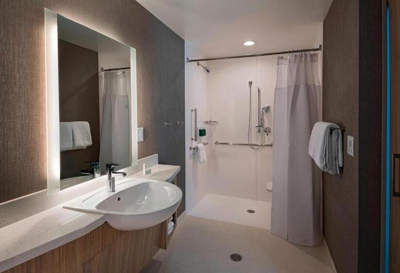 Люкс Адаптированный для Инвалидов, Springhill Suites By Marriott Denver West/golden