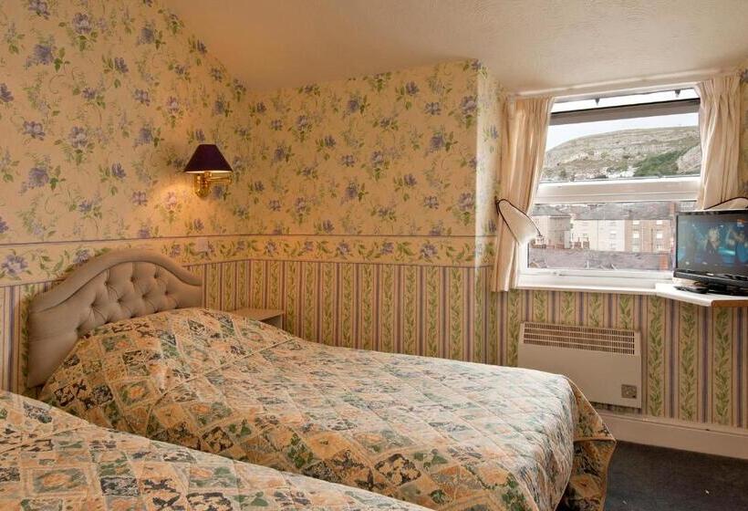 Quarto Estandar, White Heather