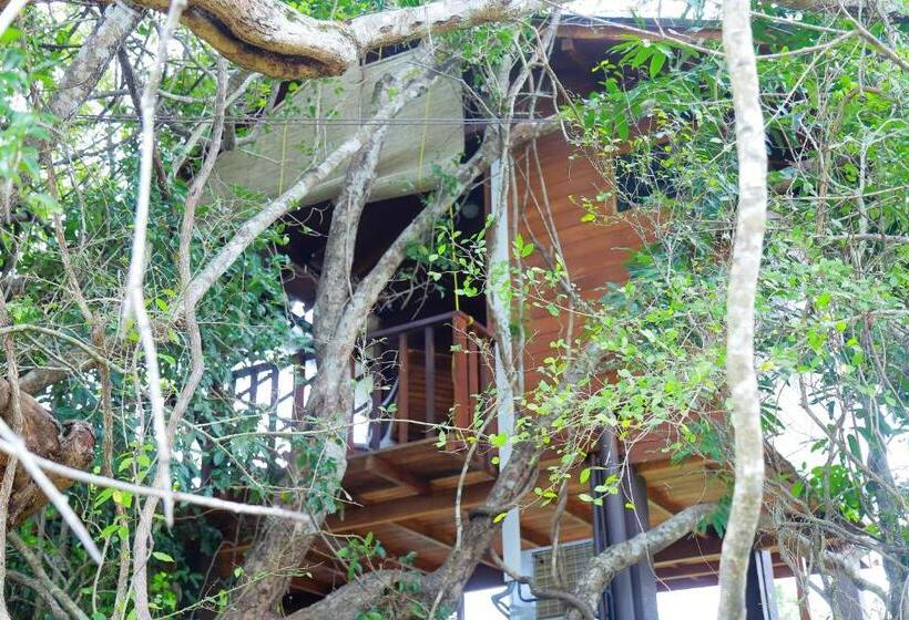 سوییت با چشم‌انداز کوه, Sigiriya King S Resort