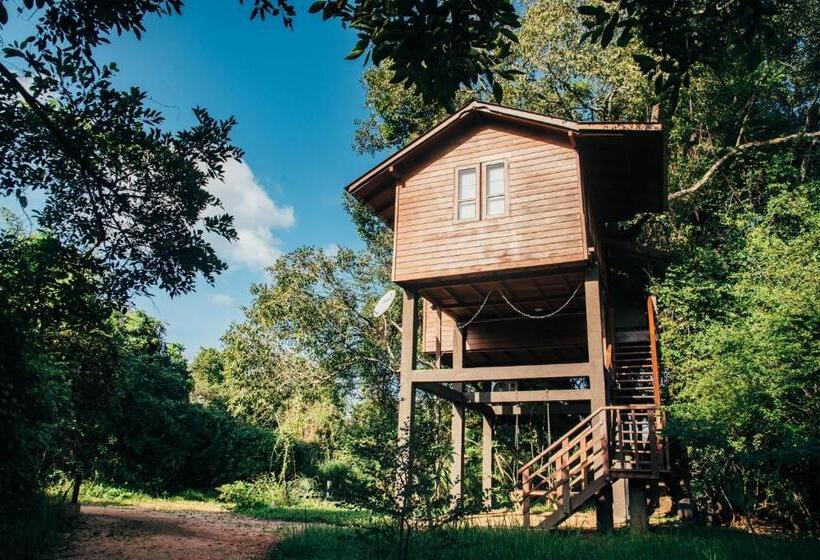 سوییت با چشم‌انداز کوه, Sigiriya King S Resort