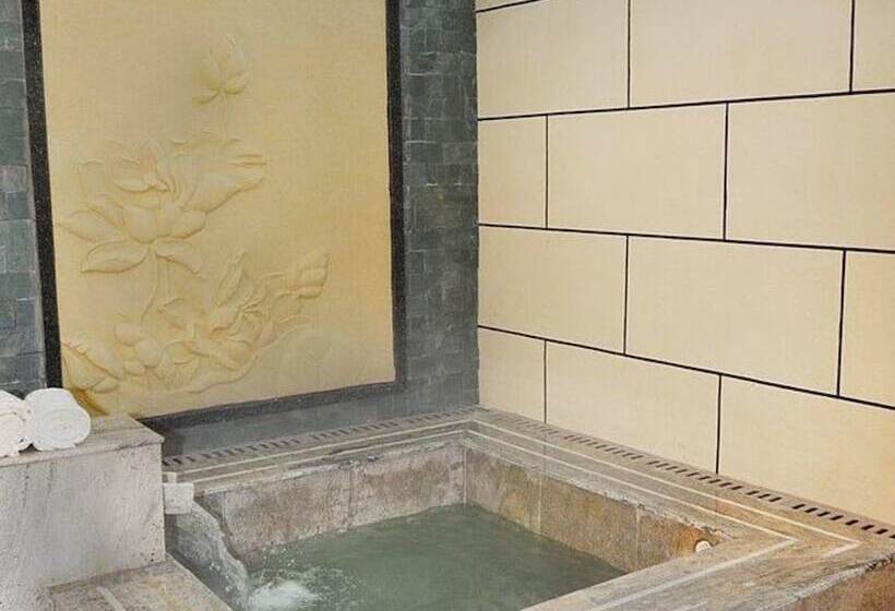 Номер Deluxe, Palace International Hot Spring
