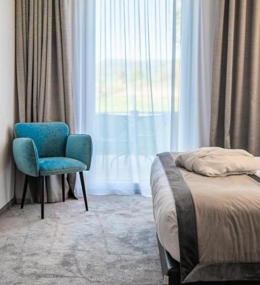 Номер Deluxe с Видом, Best Western Plus Hotel & Restaurant Les Humanistes Colmar Nord