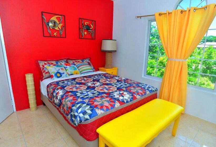 سوییت, Takuma Boutique Hotel Rooms & Suites Jamaica