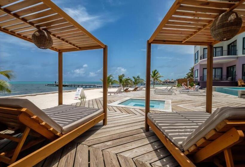 Deluxe Suite Sea View, Diamante Beachfront Suites