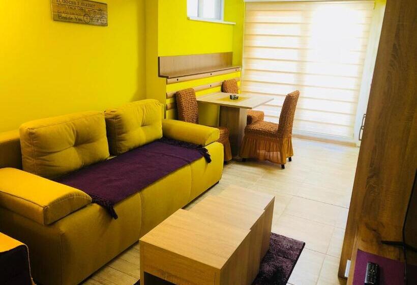 آپارتمان 1 خوابه همکف, Vila Mistik