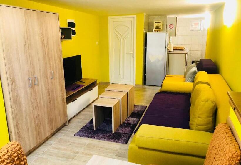 آپارتمان 1 خوابه همکف, Vila Mistik
