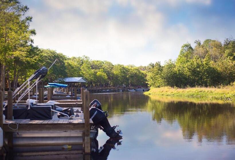 스탠다드 룸, Camp Mack, A Guy Harvey Lodge