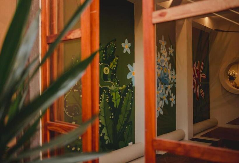 デラックスルーム, Casa 5 Bed & Breakfast