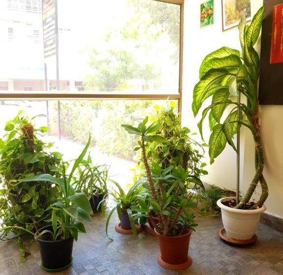 Studio Standard, David Hameleh House