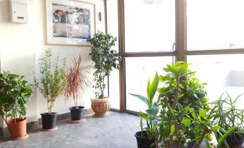 Studio Familial, David Hameleh House