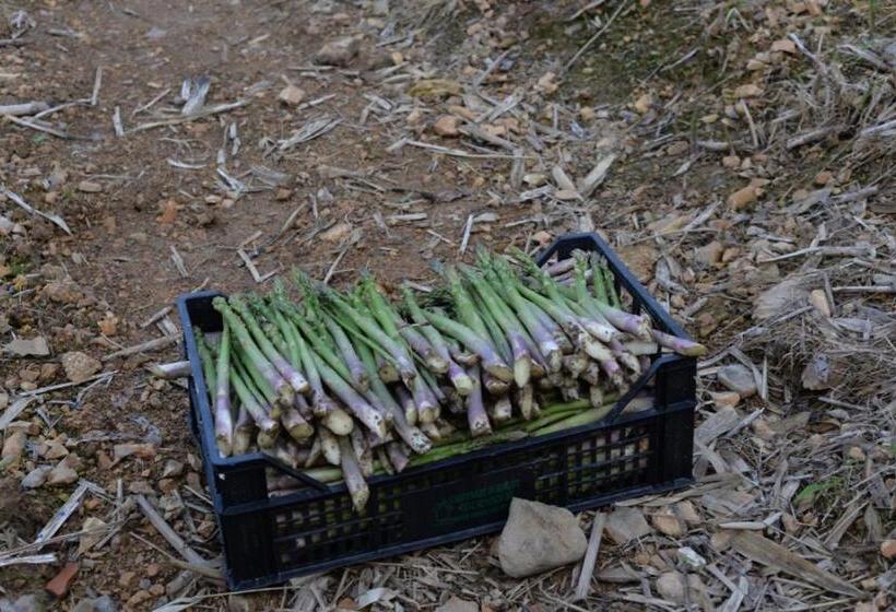디럭스 패밀리 룸, Agriturismo Al Robale