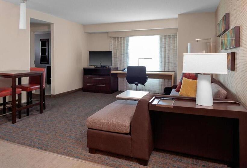 带大床的套房, Residence Inn By Marriott Atlanta Mcdonough