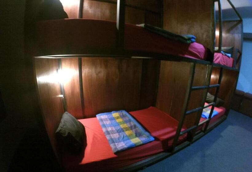 스탠다드 4인용 룸 공용 욕실, Local Hostel Amed