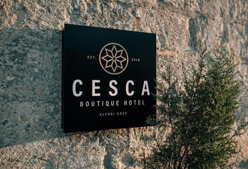 اتاق استاندارد با تخت بزرگ, Cesca S Boutique
