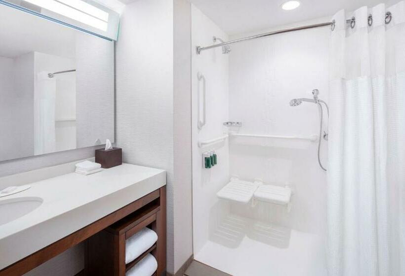 Стандартный Номер Кровать Кинг, Courtyard By Marriott Cape Girardeau Downtown