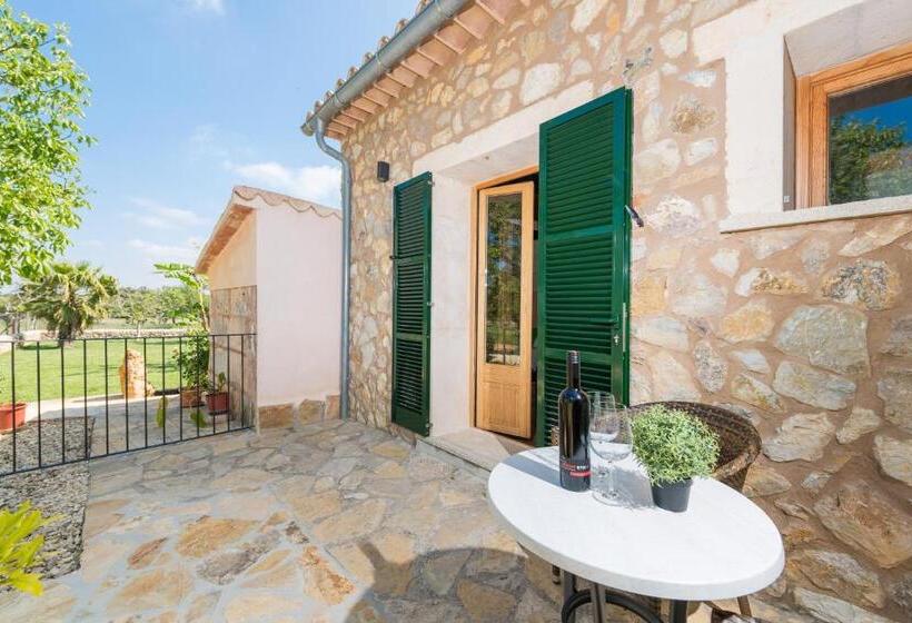اتاق استاندارد با تراس, Finca   Agroturisme Sa Parellada