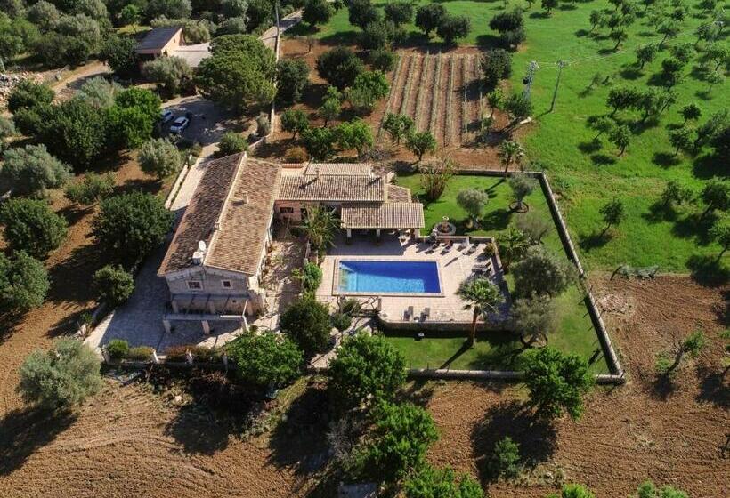 اتاق لوکس, Finca   Agroturisme Sa Parellada