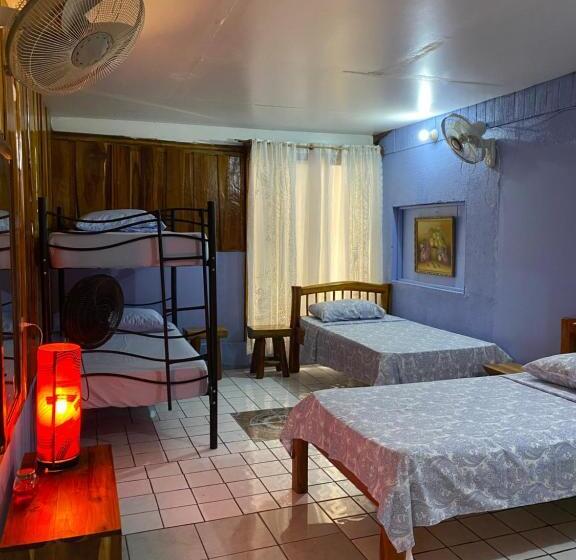 Кровать в Общей Комнате, Mauras Tropical Mini Hostel & Tours