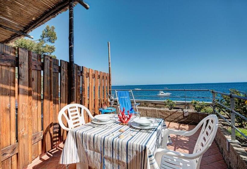 استودیوی استاندارد با چشم‌انداز دریا, Belmare Residence On The Beach