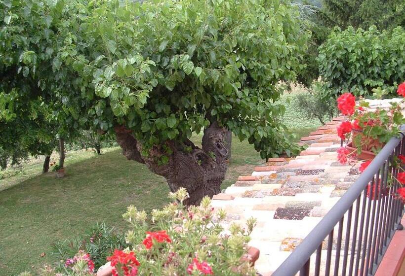 Апартаменты 2 спальни Вид на Бассейн, Agriturismo Il Bacucco