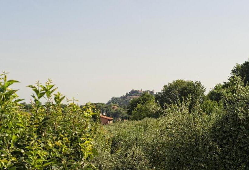 Апартаменты 1 Спальня, Agriturismo I Roseti