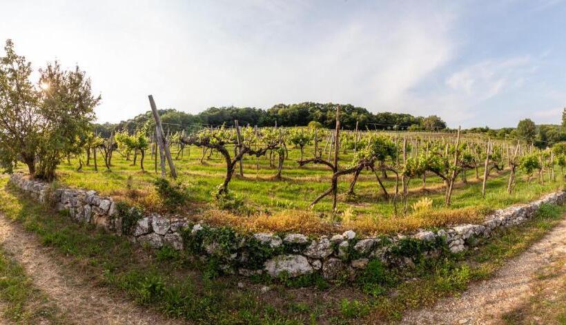 اتاق استاندارد, Fattoria Le Vegre