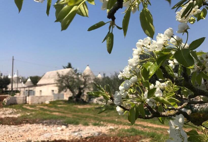 خانه 2 خوابه, Marinella Suite Home